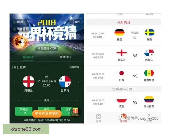 世界杯竞猜投注玩法全解析助你掌握投注技巧与投注技巧提升策略